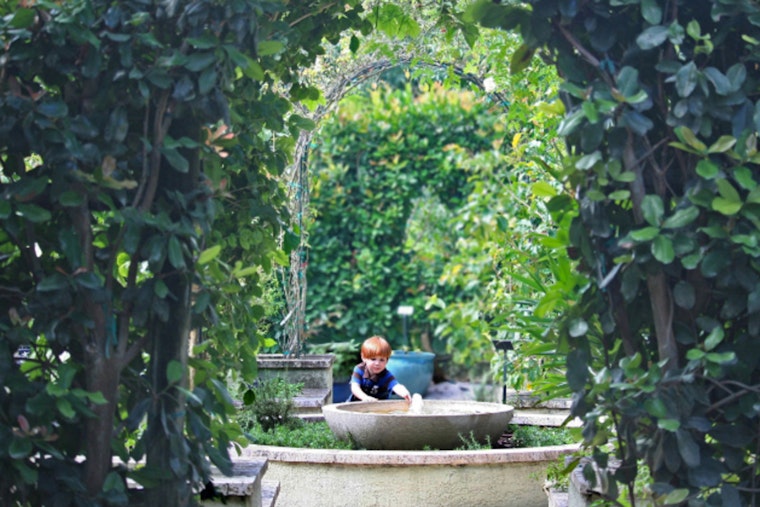 Mounts Botanical Garden in West Palm Beach Offers Summer Discount and Extended Hours