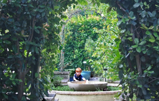 Mounts Botanical Garden in West Palm Beach Offers Summer Discount and Extended Hours