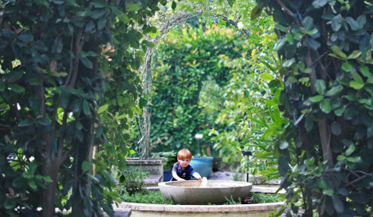 Mounts Botanical Garden in West Palm Beach Offers Summer Discount and Extended Hours