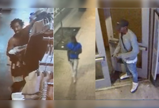 MPD Seeks Community Help to Track Down Suspects in Early Morning Burglary in Northwest Washington