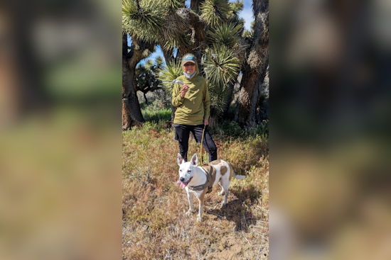 Multi-Agency Search Underway for Missing Hiker and Dog in Ohlone Wilderness of East Bay Regional Parks