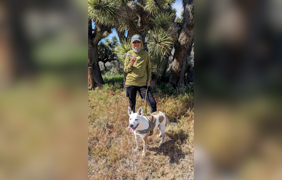 Multi-Agency Search Underway for Missing Hiker and Dog in Ohlone Wilderness of East Bay Regional Parks