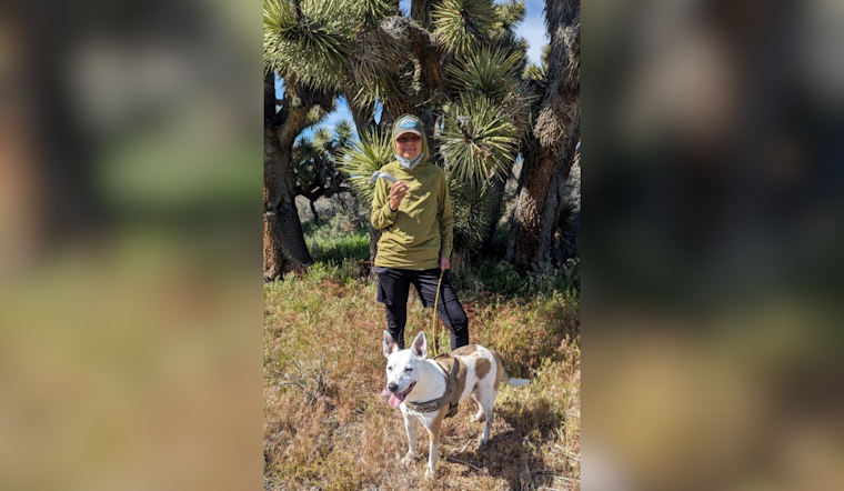 Multi-Agency Search Underway for Missing Hiker and Dog in Ohlone Wilderness of East Bay Regional Parks