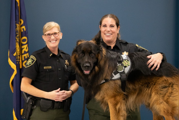 Multnomah County Sheriff's Office Welcomes Burton, New Comfort Dog, to Ease Stress in Community Engagements
