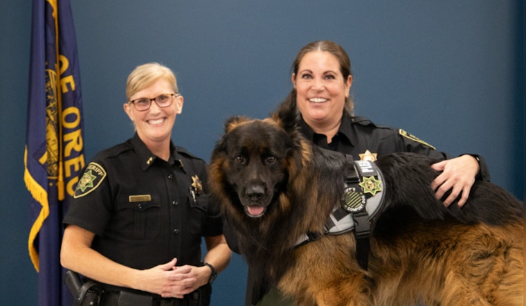 Multnomah County Sheriff's Office Welcomes Burton, New Comfort Dog, to Ease Stress in Community Engagements
