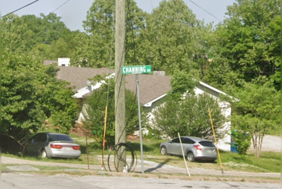 Nashville Police Nab Teenage Duo on Carjacking Charges Following Helicopter-Assisted Pursuit
