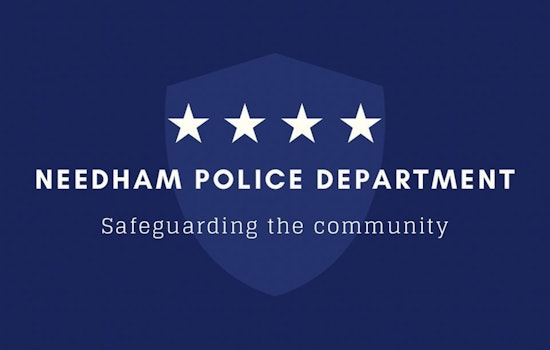 Needham Police Seek Surveillance Footage Amid Spate of Vehicle Break-Ins
