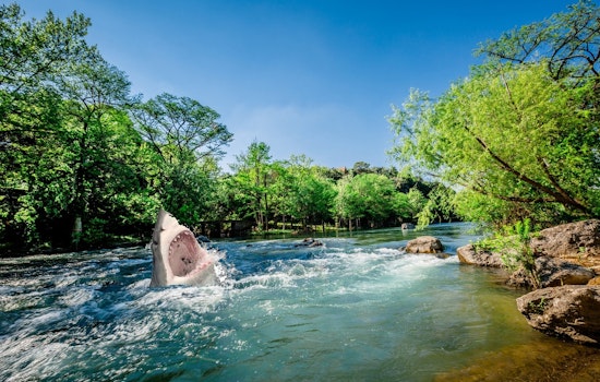 New Braunfels Officials Debunk Shark Sighting Rumors in Guadalupe River Amid Social Media Stir