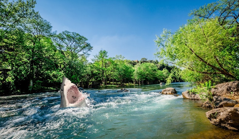 New Braunfels Officials Debunk Shark Sighting Rumors in Guadalupe River Amid Social Media Stir