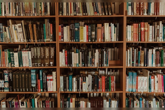 New NEISD Trustees Face Challenges Over Book Censorship and Budget Deficit in San Antonio