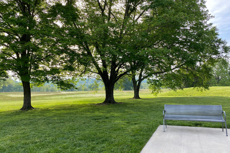 New Woodland-Themed Huie Playground to Debut at Knoxville's Lakeshore Park