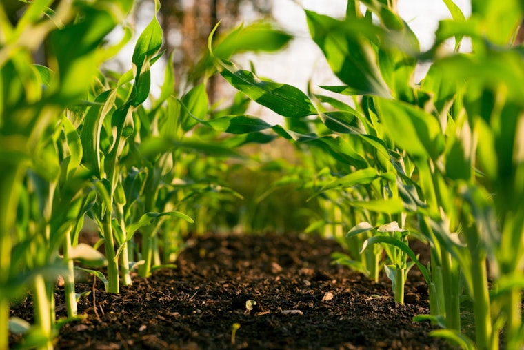 Newton County Agricultural Center Poised for Upgrades with $500,000 State Funding Boost