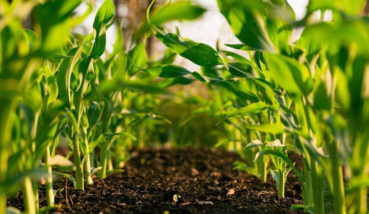 Newton County Agricultural Center Poised for Upgrades with $500,000 State Funding Boost