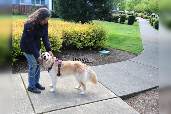 North Bend Officials Urge Adherence to Leash Laws for Harmonious Outdoor Enjoyment
