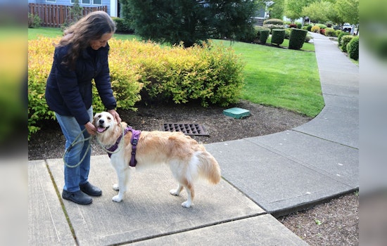North Bend Officials Urge Adherence to Leash Laws for Harmonious Outdoor Enjoyment