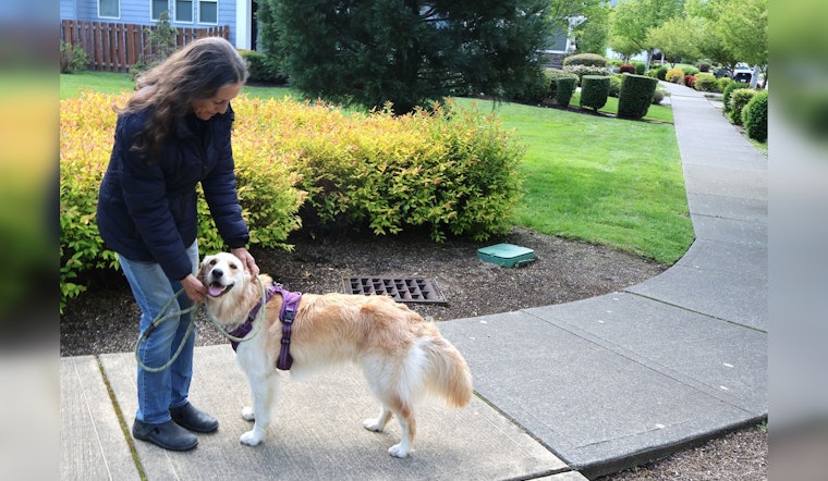 North Bend Officials Urge Adherence to Leash Laws for Harmonious Outdoor Enjoyment