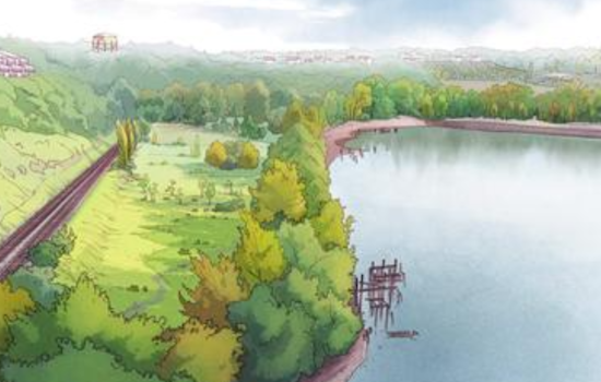 North Portland's Willamette Cove Set for Transformation into Nature Park; Metro Seeks Local Input