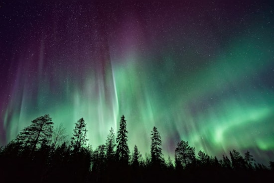Northern Glow Graces Skies from Florida to Cali in Rare Solar Spectacle