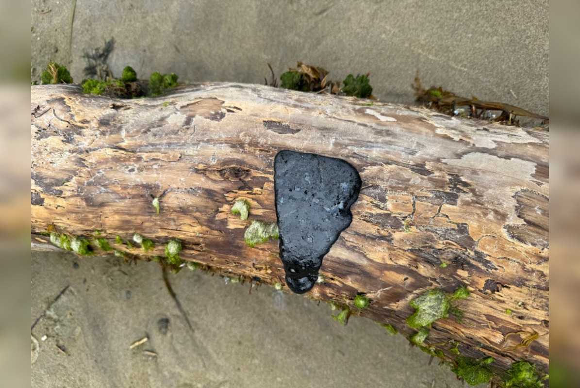 Oregon and Washington Beaches Plagued by Tar Balls, Officials Urge - Vimarsana News
