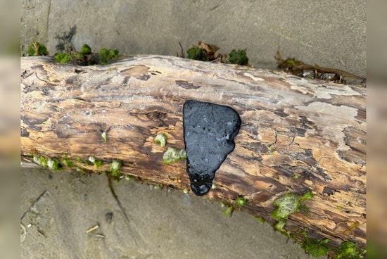 Oregon and Washington Beaches Plagued by Tar Balls, Officials Urge Caution and Zero Touching