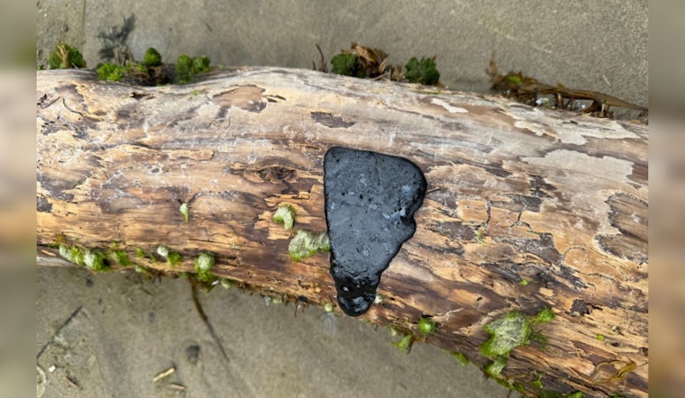 Oregon and Washington Beaches Plagued by Tar Balls, Officials Urge Caution and Zero Touching