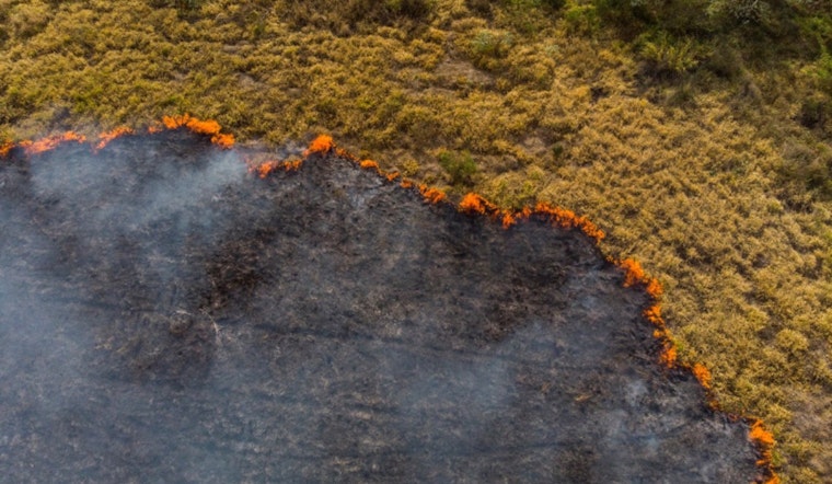 Oregon Governor Tina Kotek Unveils Wildfire Preparedness Plan Ahead of Season, State Agencies Boost Defenses