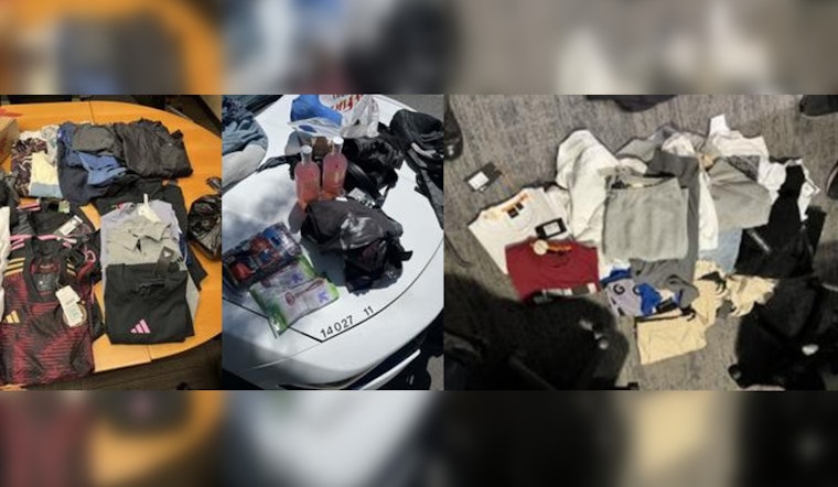 Over 35 Arrested in San Bernardino County's "Smash & Grab" Sting at Victoria Gardens