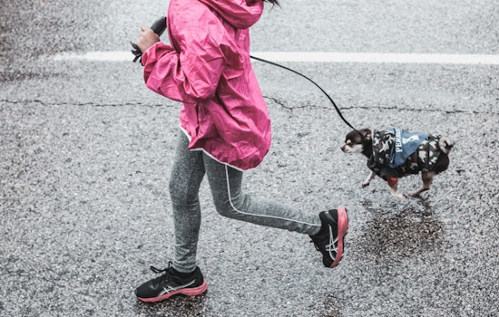Palm Beach County Invites Residents to 2nd Annual Community Dog Walk and Fitness Event in Belle Glade