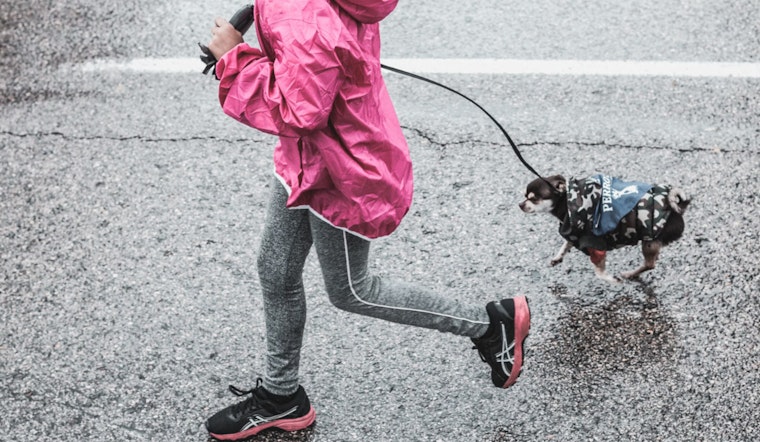 Palm Beach County Invites Residents to 2nd Annual Community Dog Walk and Fitness Event in Belle Glade