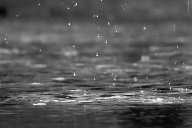 Philadelphia Braces for Showers, Mild Temperatures Through the Weekend
