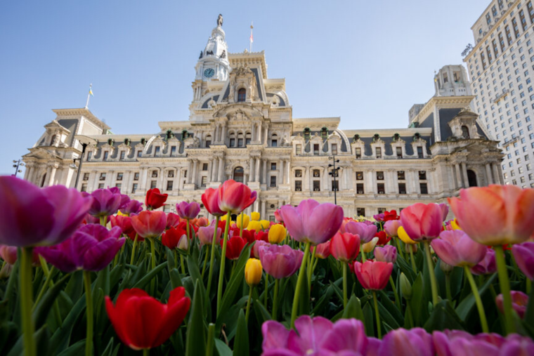 Philadelphia Makes Eviction Diversion Program Permanent in Victory for Renters and Landlords