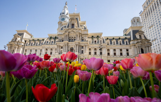Philadelphia Makes Eviction Diversion Program Permanent in Victory for Renters and Landlords