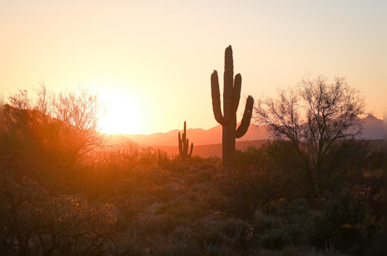 Phoenix Braces for Blistering Heat Wave with Triple-Digit Temperatures All Week