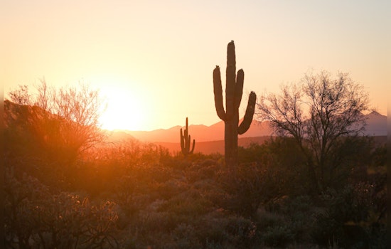 Phoenix Braces for Blistering Heat Wave with Triple-Digit Temperatures All Week