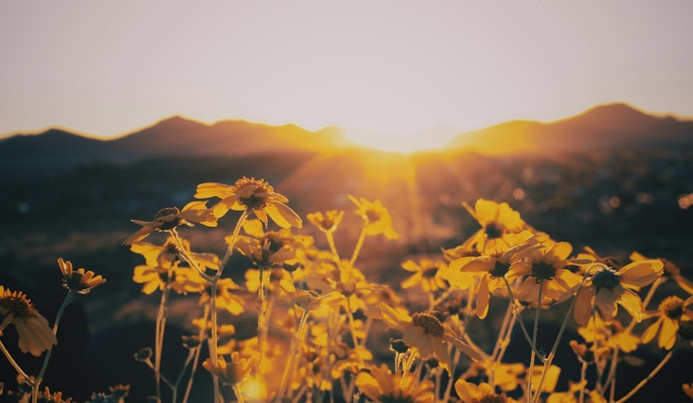 Phoenix Braces for Rising Temperatures with Week of Sunny Skies Ahead