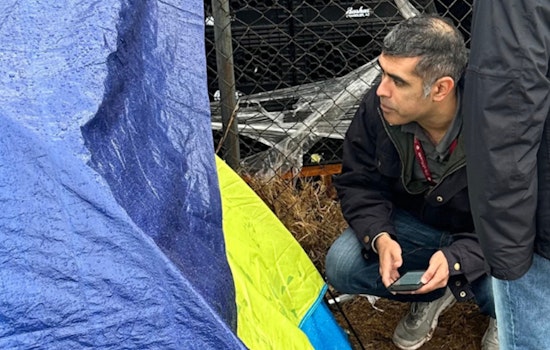 Phoenix Sees Homelessness Decline as Shelter Numbers Rise, Point-in-Time Count Reveals