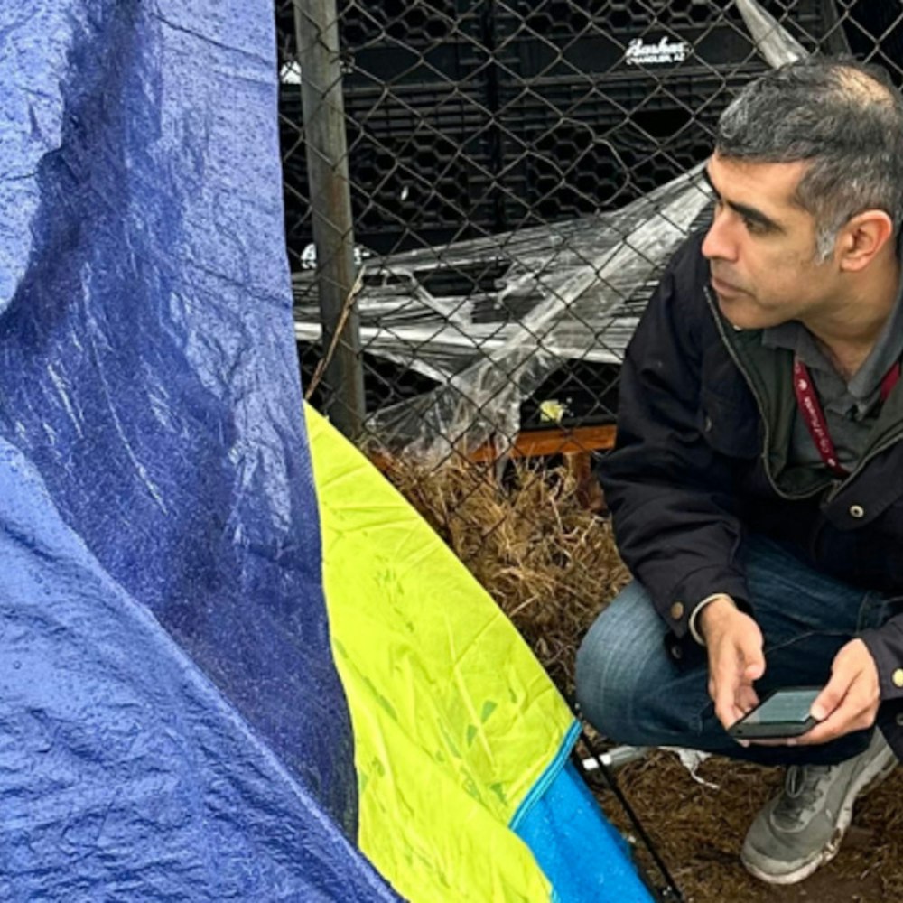 Phoenix Sees Homelessness Decline as Shelter Numbers Rise, Point-in-Time Count Reveals