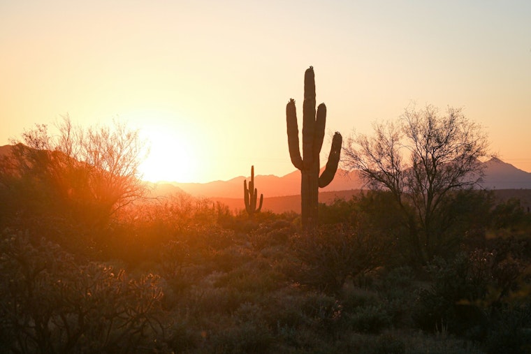 Phoenix Sunny Spell Continues, Highs to Reach Mid-90s in Early May Stretch