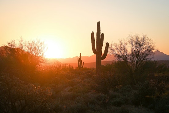 Phoenix Sunny Spell Continues, Highs to Reach Mid-90s in Early May Stretch