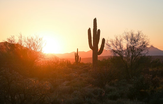 Phoenix Sunny Spell Continues, Highs to Reach Mid-90s in Early May Stretch