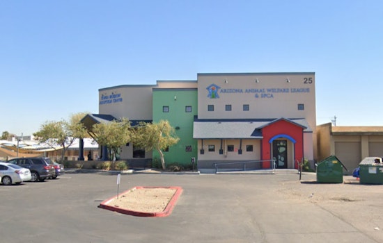 Phoenix's AAWL Offers Free Adoption for Pets Over One Year Old in Massive Spring Shelter Clear-Out