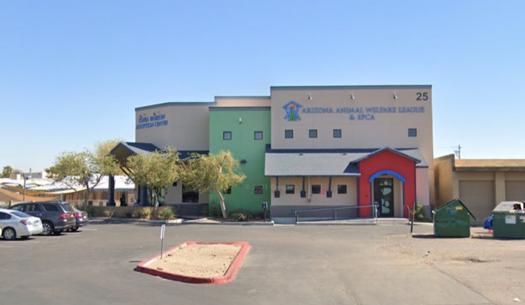 Phoenix's AAWL Offers Free Adoption for Pets Over One Year Old in Massive Spring Shelter Clear-Out
