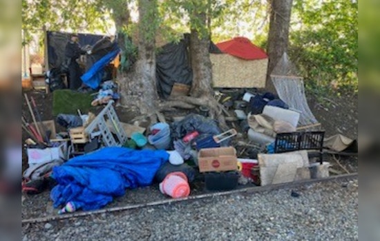 Pierce County Deputies Clear Midland Homeless Camp, Recover Abandoned Kittens Near Railroad