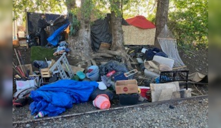 Pierce County Deputies Clear Midland Homeless Camp, Recover Abandoned Kittens Near Railroad