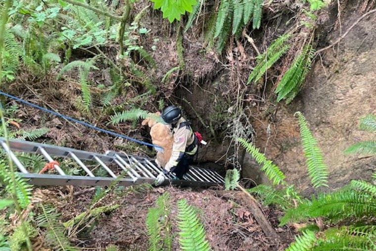 Pierce County Firefighters Heroically Rescue Dog from Abandoned Mine Near Buckley