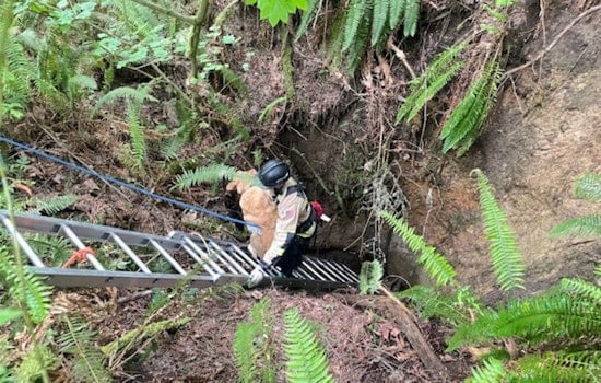 Pierce County Firefighters Heroically Rescue Dog from Abandoned Mine Near Buckley