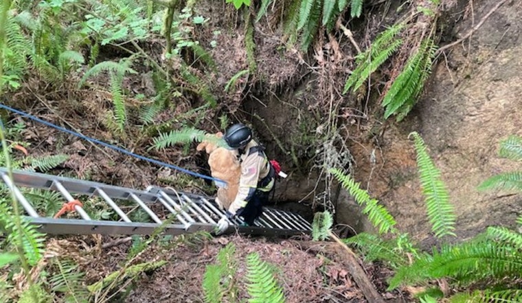 Pierce County Firefighters Heroically Rescue Dog from Abandoned Mine Near Buckley