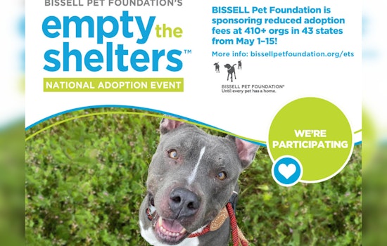 Pinal County Pets Seek Forever Homes Through BISSELL’s Fee-Free Adoption Drive During National Pet Month