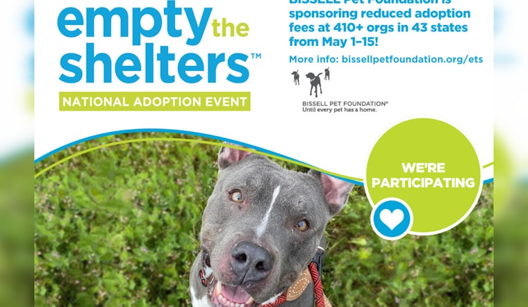 Pinal County Pets Seek Forever Homes Through BISSELL’s Fee-Free Adoption Drive During National Pet Month