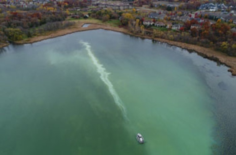 Plymouth's Bass and Pomerleau Lakes Triumph Over Pollution, Achieve 'Clean Bill of Health'